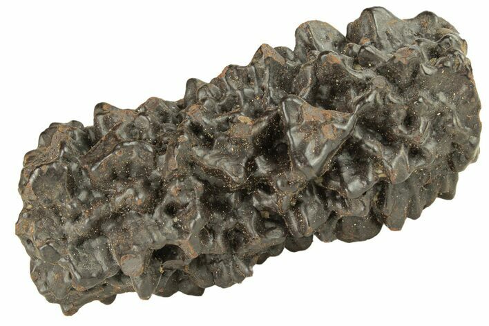 Goethite (Limonite) Pseudomorph after Pyrite/Marcasite - Egypt #257309